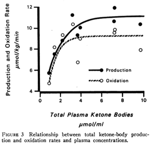 Post 12 ketone-body production and oxidations rates